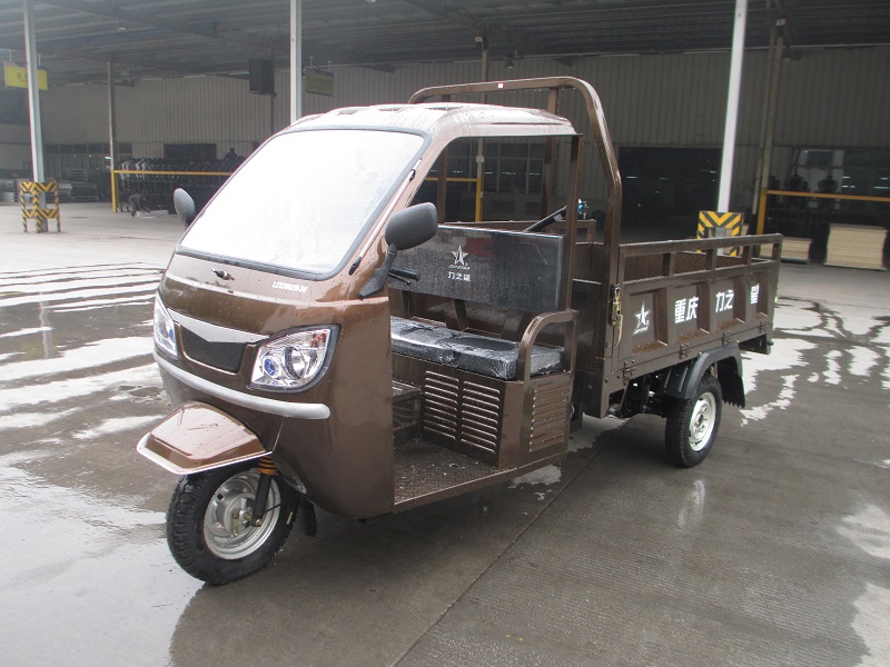 帶蓬電動三輪代步車
